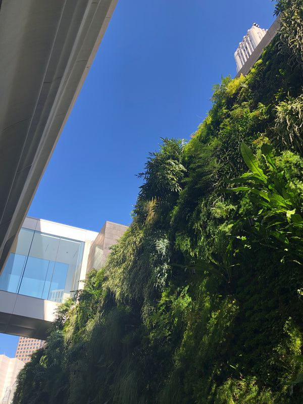 Wednesday inspiration β¨