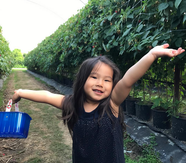 Summer in England - Pick your own