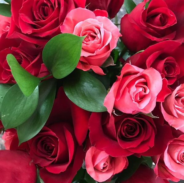 Happy Valentine’s Day! ❤️