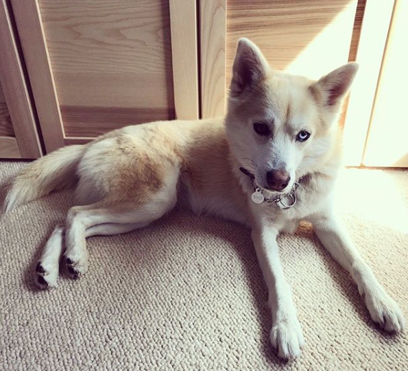 Color study: Camouflage ✨