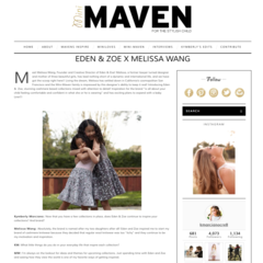 Mini Maven - Interview