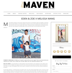 Mini Maven - Interview