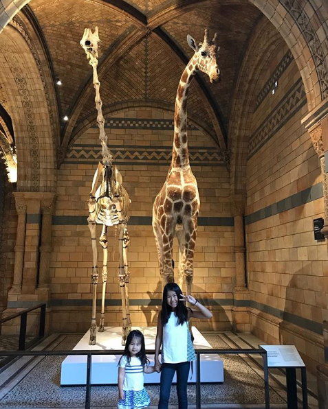 Natural History Museum in London