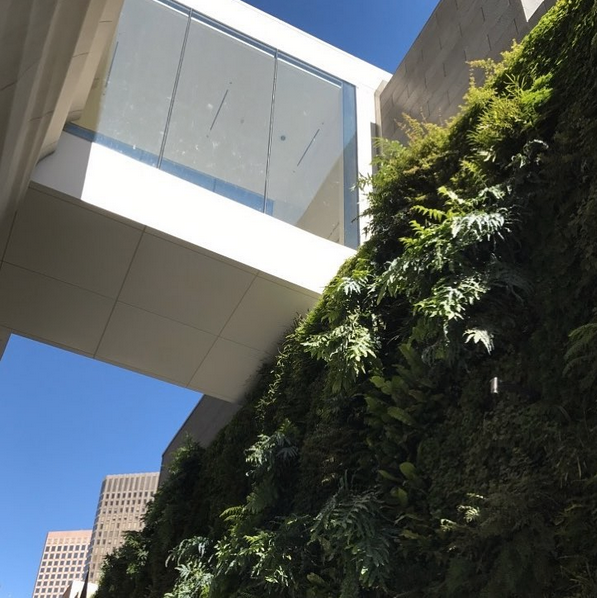 Living wall