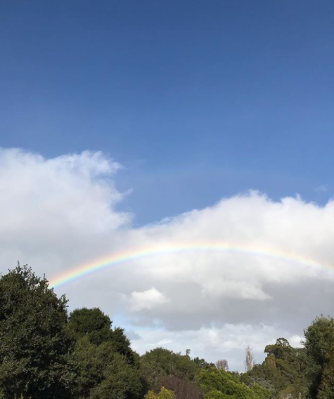 View from my window 🌈