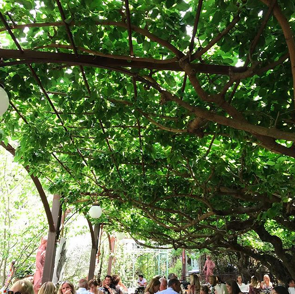 Summer in France