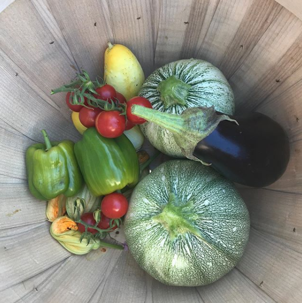 Garden goodies