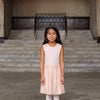 Leila lace dress
